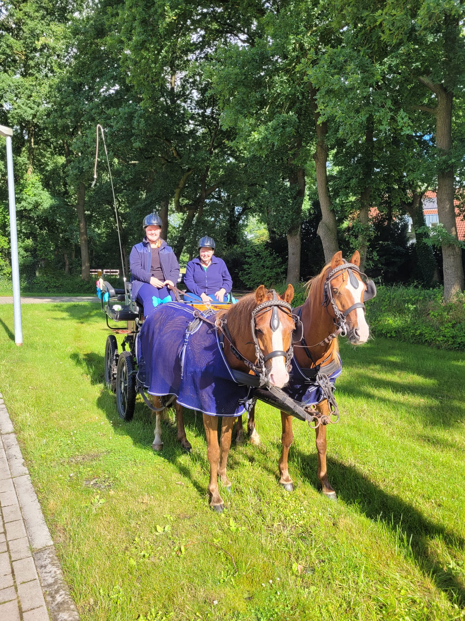 An ihrem letzten Tag der Ausbildung, hat unsere Madleen uns noch mit einer Kutschfahrt eine Freude gemacht. Bei schönstem Sonnenschein fuhr sie ein paar Touren durch Hesel. Die Kinder und auch wir vom Team haben uns sehr darüber gefreut. DANKESCHÖN MADLEEN!